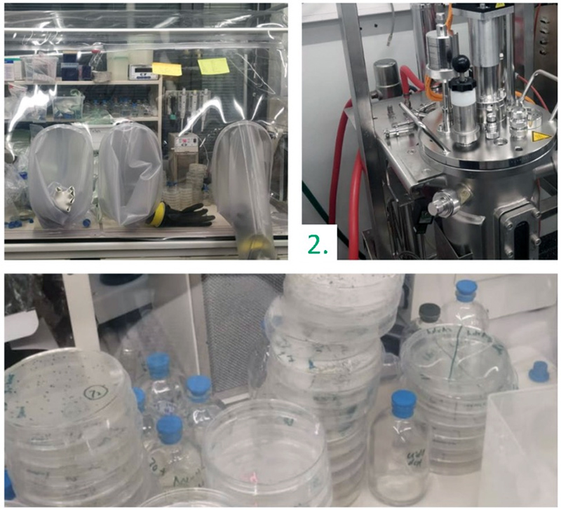 Photo of molecular biology under exclusion of oxygen.