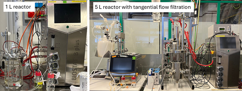 Photo of the bioreactors.