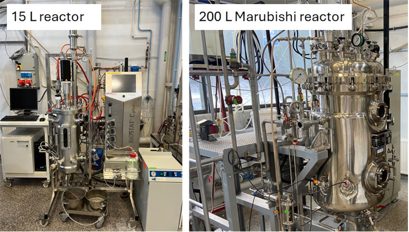 Photo of the bioreactors.