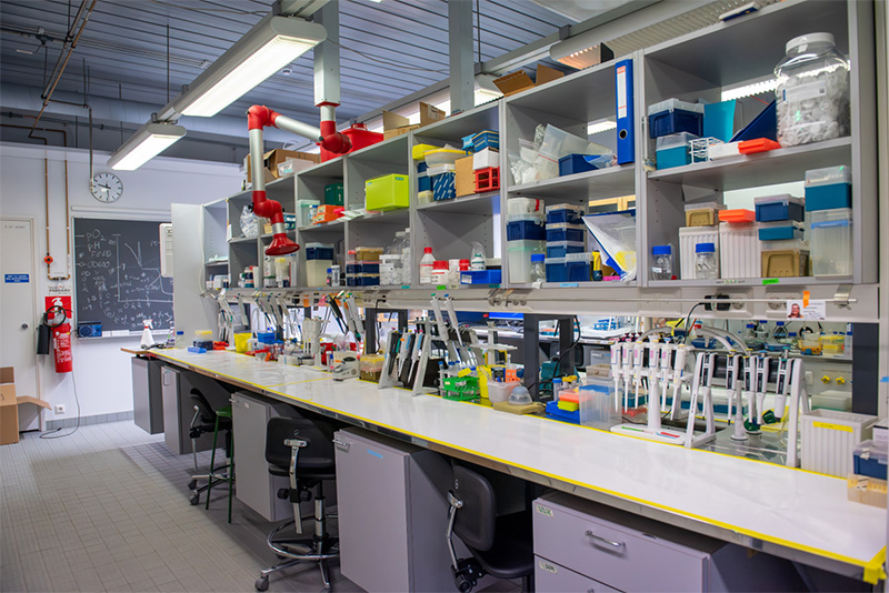 tuni_molecular_biology_laboratory Photo of Molecular biology laboratory.